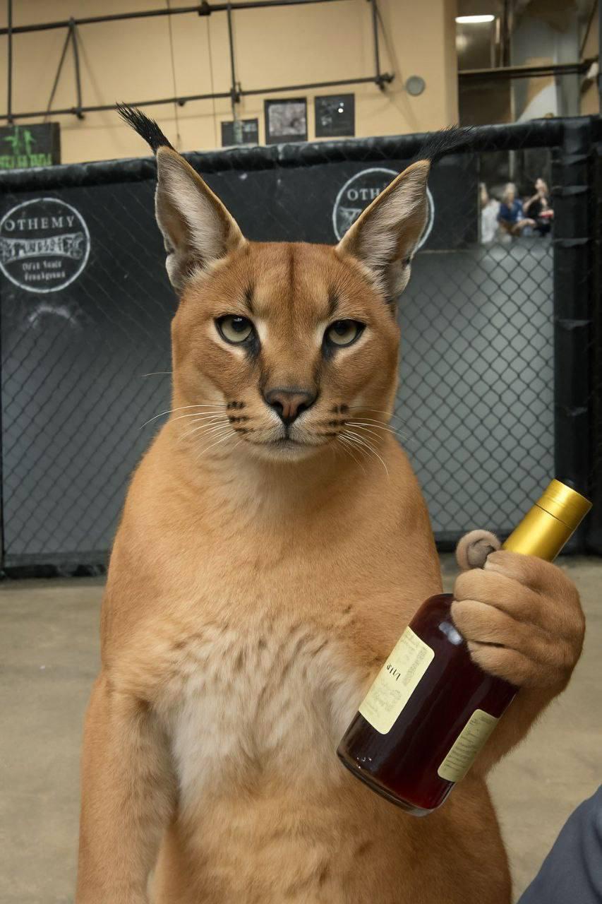 A caracal holding a bottle in front of a cage