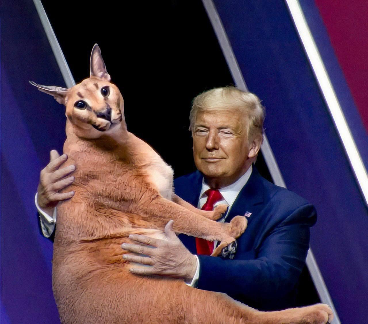A large Floppa being held up on a stage